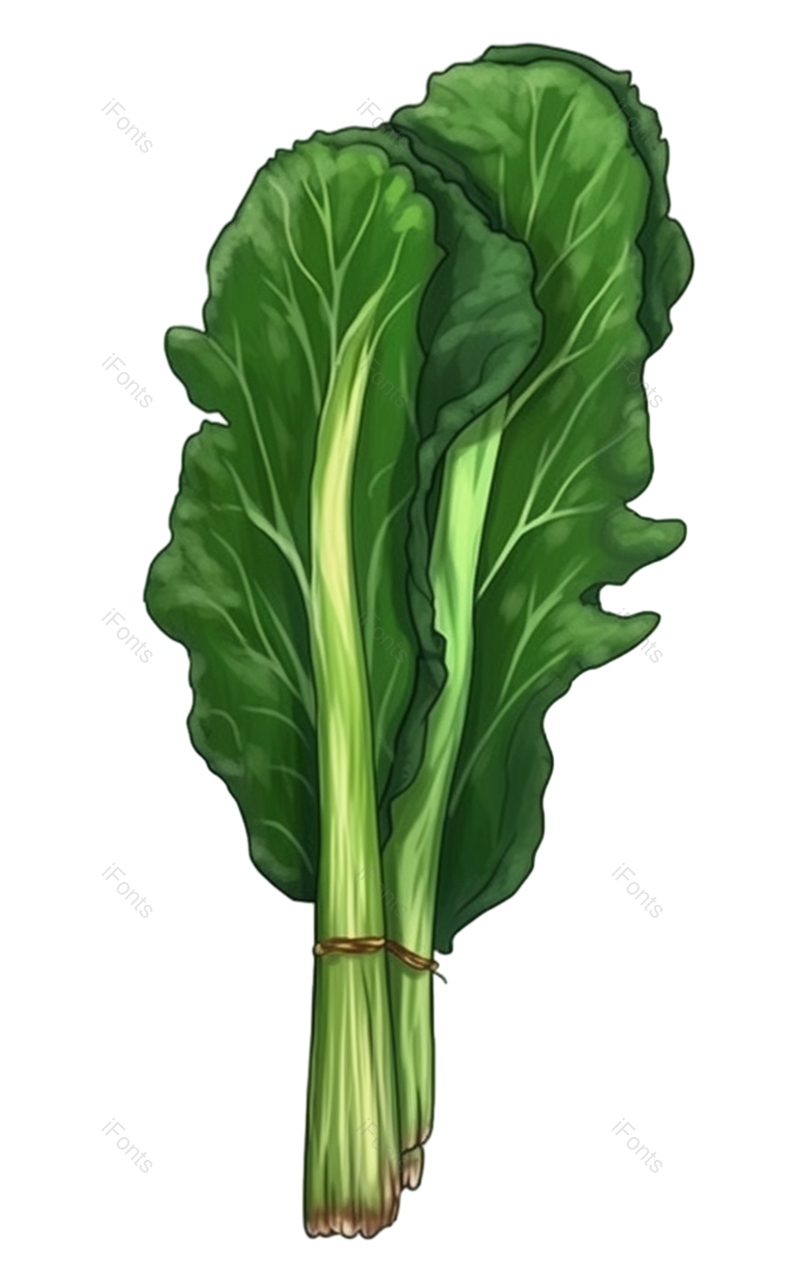 蔬菜图片,手绘蔬菜元素,绿色PNG,食品免抠素材